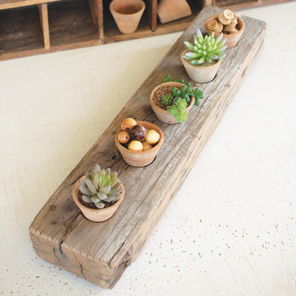 floating shelf succulents Kalalou Recycled Wooden Base with Five Clay Succulent Holders